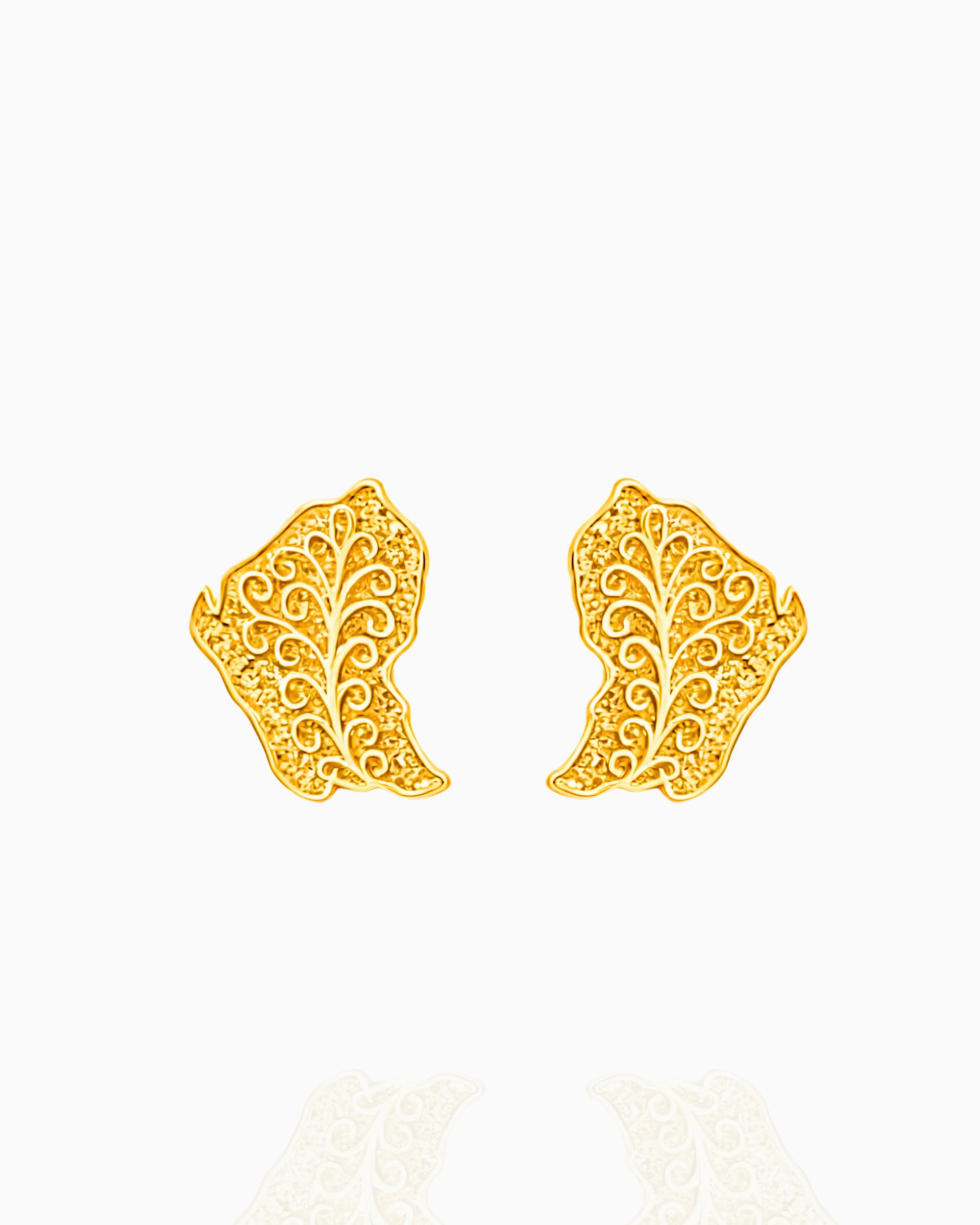 BOUCLES  ÉCLAT DE GUYANE
